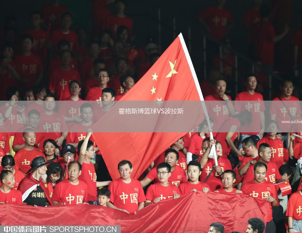 霍格斯博篮球VS波拉斯